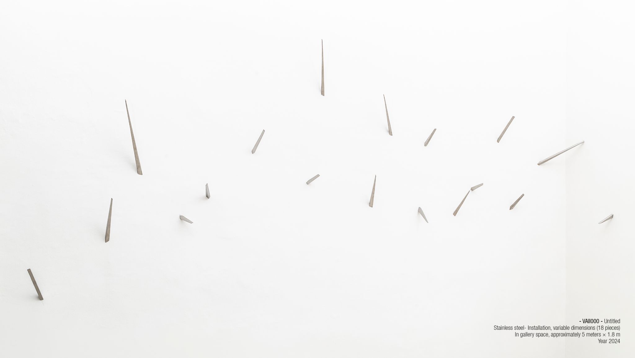 2025 DM port.para web. P2